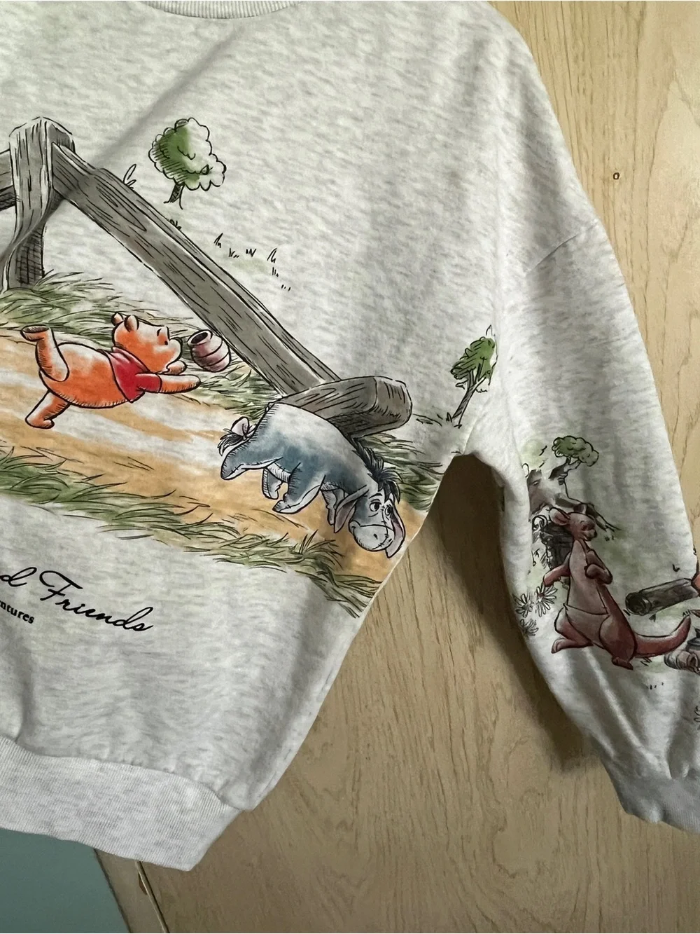 Disney Winnie the Pooh 100 Acre Wood Gang Sweatshirt Sz Small Friends - Picture 5 of 11